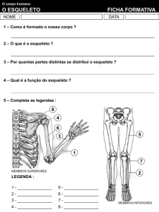 Diapositivo 1 - Projecto UE