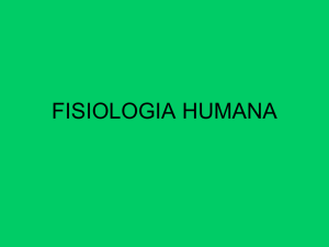 Fisiologia humana II