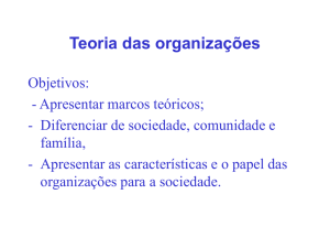 Teoria das organizações - Professor Francisco Paulo