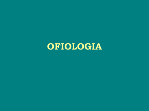 ofiologia - SOL - Professor | PUC Goiás