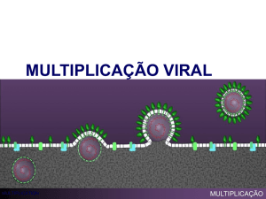 multiplicação viral