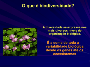 O que é biodiversidade?