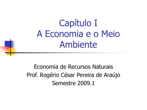 A Economia e o Meio Ambiente