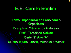 EE Camilo Bonfim