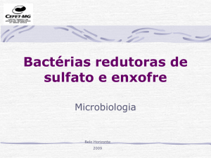 Bactérias redutoras de sulfato e enxofre