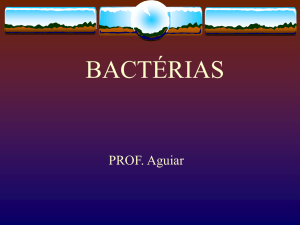 bactérias - Educacional