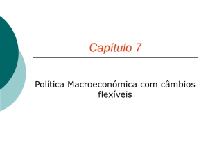 Capitulo 7-Politica Macro com Câmbios Flexíveis