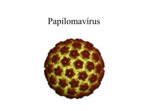 Papilomavírus