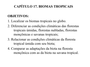 capítulo 17. biomas tropicais