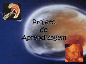Projeto - pasapirangag10