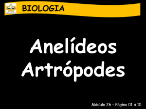 BIOLOGIA Anelídeos Artrópodes