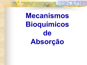 aula 16 - mecanismos bioquímicos de absorção