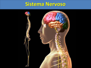 Slide 1 - Educacional