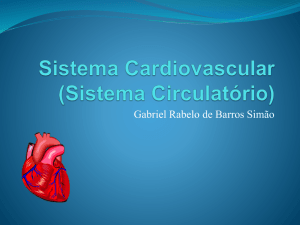 Sistema Cardiovascular (Sistema circulatório)