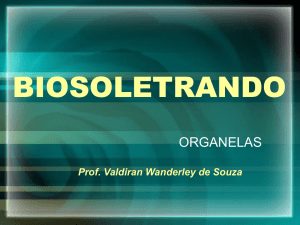 Slide 1 - Prof. Valdiran Wanderley de Souza