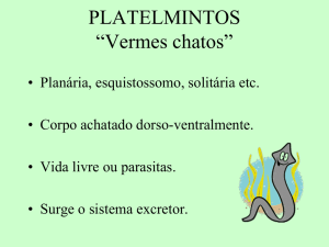 PLATELMINTOS “Vermes chatos”