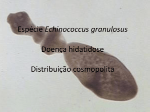 Espécie Echinococcus granulosus Doença hidatidose Distribuição