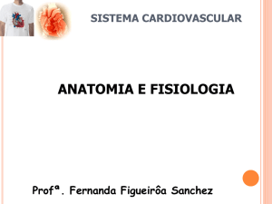 SISTEMA CARDIOVASCULAR