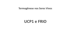 UCP1 e FRIO - (LTC) de NUTES