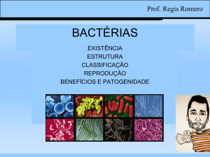 BACTÉRIAS