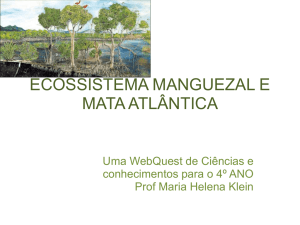 O ecossistema manguezal possui as seguintes características A