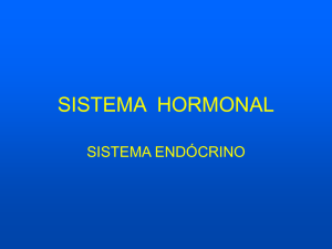 SISTEMA HORMONAL
