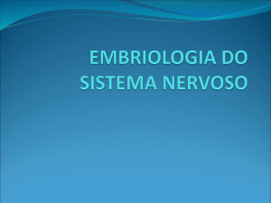 embriologia do sistema nervoso