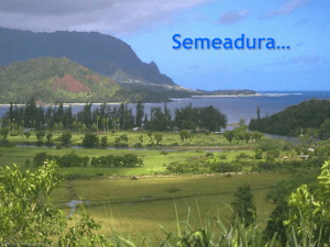 Semeadura