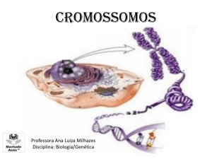 Cromossomos - Colégio Machado de Assis