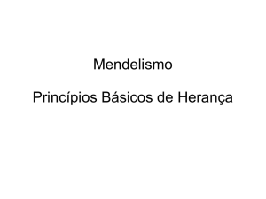 Mendelismo Princípios Básicos de Herança Tópicos Terminologia