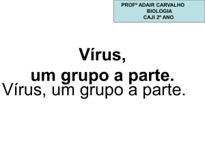 2-ano-virus