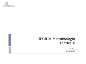 aula teórica 6 Diagnóstico Microbiológico