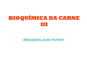 Bioquimica_aplicada_aula_9_carnes_3