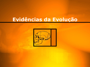 Evidêcias da Evolução