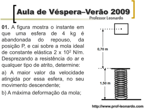 Slide 1 - Prof Leonardo