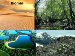 Biomas - Vladimirgeografia