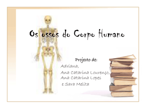 Ossos - Ajuda Alunos