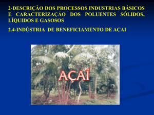 2-descrição dos processos industrias básicos e caracterização dos