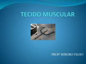 tecido muscular estriado 2014