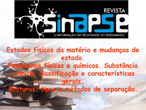 ppt - Revista Sinapse