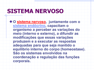 Sistema nervoso Arquivo