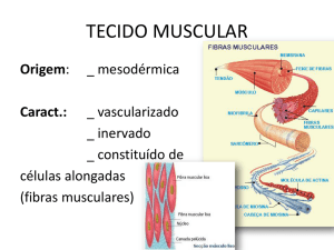 tecido muscular Turma: M3S-RQ Professor: Frederico Moreira Lara