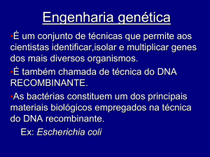 Engenharia genetica