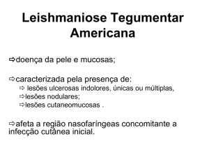 3 Leishmania tegumentar americana