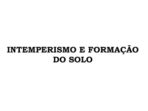 Slide 1 - SOL - Professor | PUC Goiás