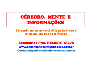 c&eacute;rebro, mente e informa&ccedil;&otilde;es