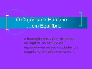 Sistema Nervoso