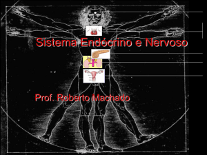 Sistema Endócrino e Nervoso - Colégio Dom Bosco – Petrolina