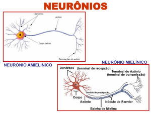 Slide 1 - Educacional