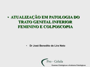 Apresentação do PowerPoint - |+ Instituto Aloisio Neiva +|